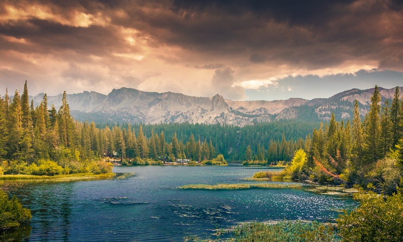 Boreal Ventures Canada