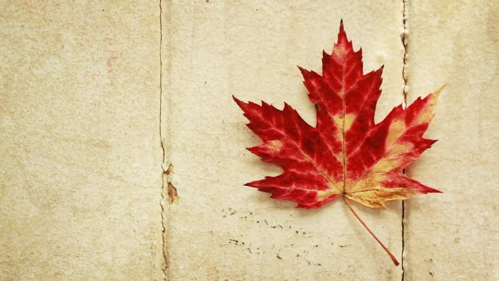 Boreal Ventures Canada